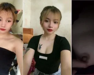 Thỏ xinh 2k4 – Viet69